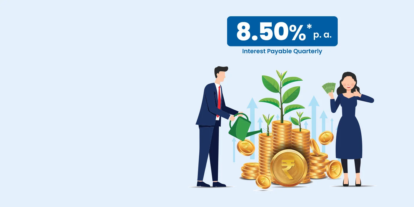 Long Term Subordinated Bonds (LTSB) - Series IV